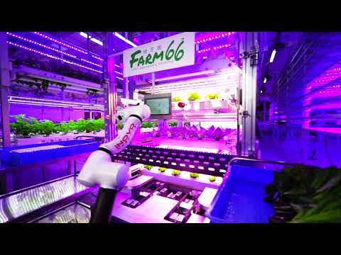Farm66 & Inovo Robotics - Farming of the future